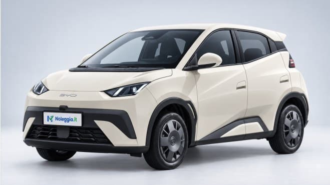 BYD DOLPHIN SURF