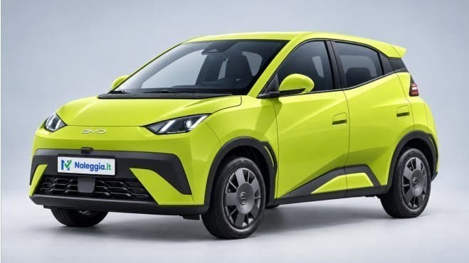 BYD DOLPHIN SURF