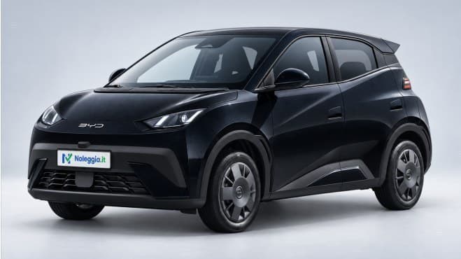 BYD DOLPHIN SURF